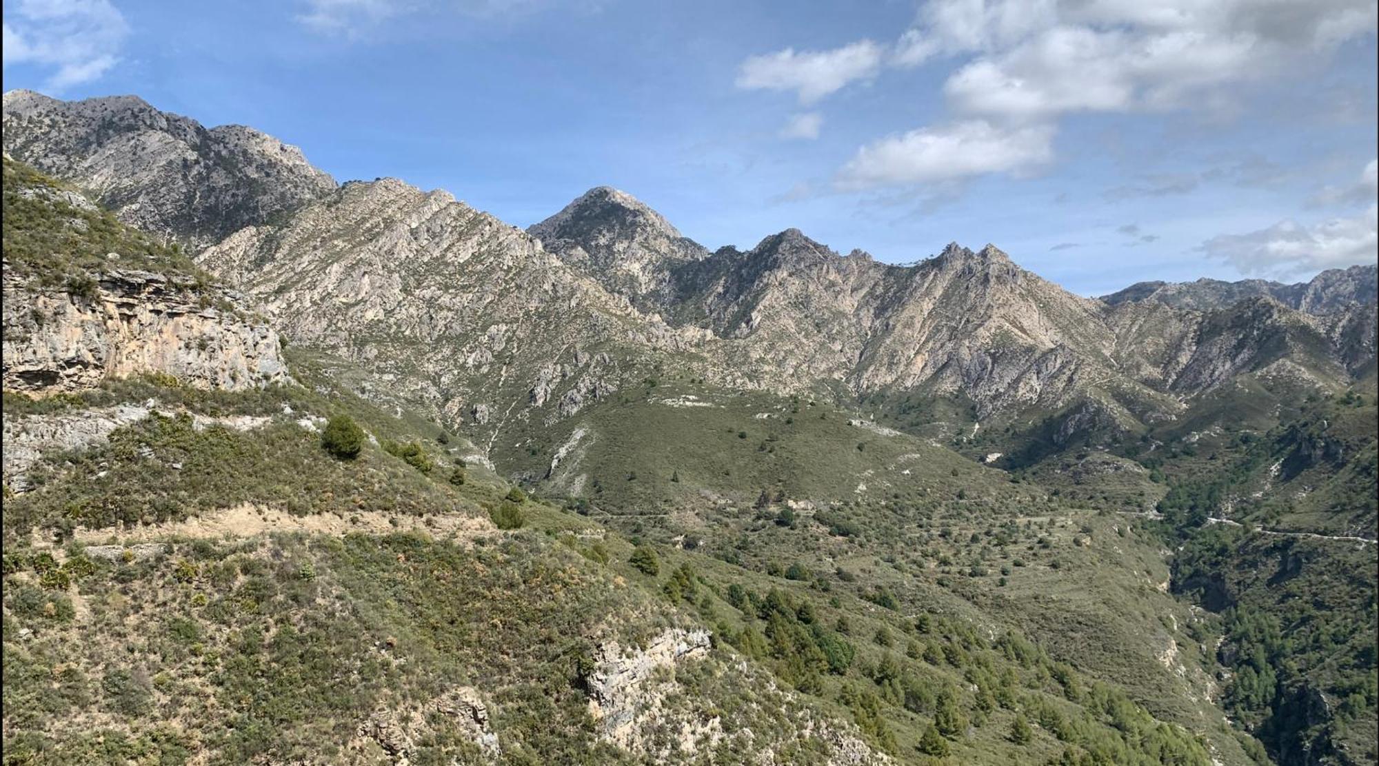 Finca El Almendro Málaga Exterior foto